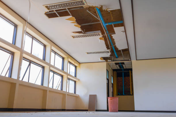 Best Ceiling water damage repair  in Clksville, AR