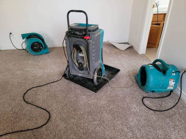 Water damage restoration insurance claims in AR