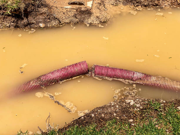 Best 24-hour water damage restoration  in Clksville, AR