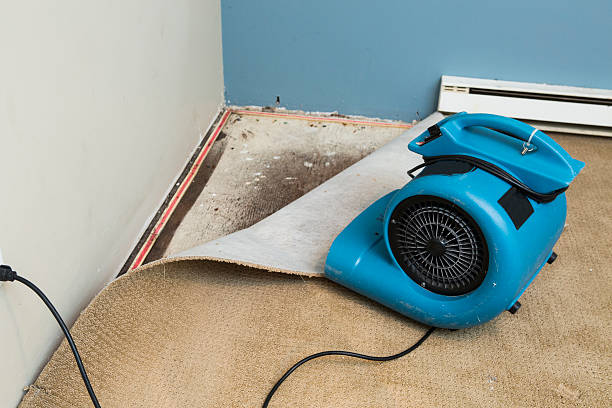 Best Water damage contractors near me  in Clksville, AR
